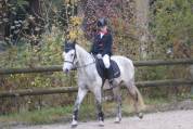PONETTE CONNEMARA 8 ANS