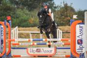 Magnifique Welsh cob noir CSO CCE dressage