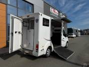 Furgoneta para caballos Barbot POLYVAN D3C 2019 De segunda mano