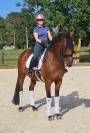 Cavalla KWPN Cavallo da Sport Neerlandese In vendita 2016 Baio ,  EYE CATCHER