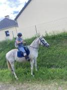 Cheval AQPS 14 ans 