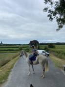 Cheval AQPS 14 ans 