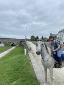Cheval AQPS 14 ans 