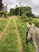 Cheval AQPS 14 ans 