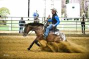 Appaloosa 