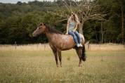 Appaloosa 