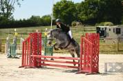 Poney Connemara 6 ans