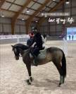 Cheval espagnol 