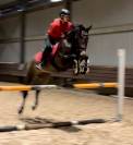 Cheval espagnol 