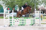 Jument SF 7 ans