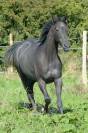 ILANGO - 5ans - 1m70]