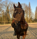 SHAKIRON | PS - 6ans - 1m63