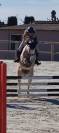 Ponette