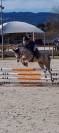 Ponette