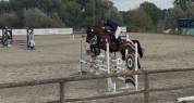 Chouette cheval polyvalent 