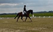 Chouette cheval polyvalent 