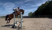 Chouette cheval polyvalent 