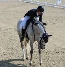 Super cheval cso cce 