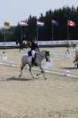 Super cheval cso cce 