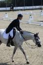 Super cheval cso cce 