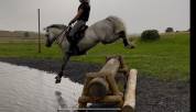 Super cheval cso cce 