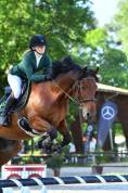 A vendre Le cheval d’amateur par excellence CCE/CSO