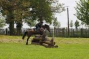 A vendre Le cheval d’amateur par excellence CCE/CSO