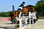 A vendre Le cheval d’amateur par excellence CCE/CSO
