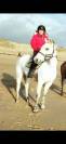 Poney à vendre 