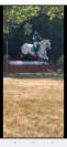 Poney à vendre 