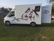 Camion chevaux VL Renault master 
