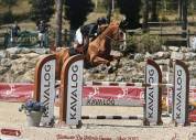 Jument cso 