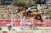 Jument cso 