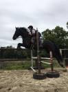 Cheval arabo frison 