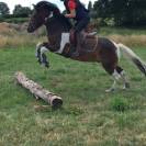 Poney C 