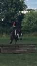 Poney C 
