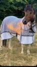 Poney C 