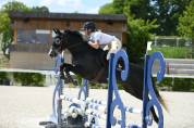 Poney de 4 ans 