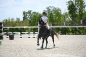 Poney de 4 ans 