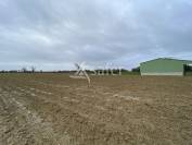 Exploitation 69ha - Bessin (14)