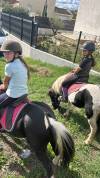 Ponette pie 5 ans