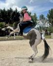 Ponette pie 5 ans