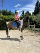 Ponette pie 5 ans