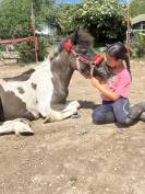Ponette pie 5 ans