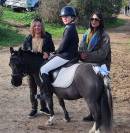 Poney 