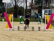 Poney 