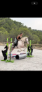 Hongre espagnol 3ans cremello