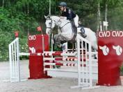 Hongre-OC- 1.65m - amateur CSO 110 -polyvalent eénéreux