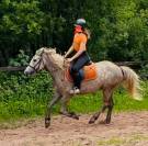 Kiwi poney de rando