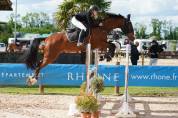Cheval de sport amateur 